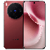 Vivo X300
